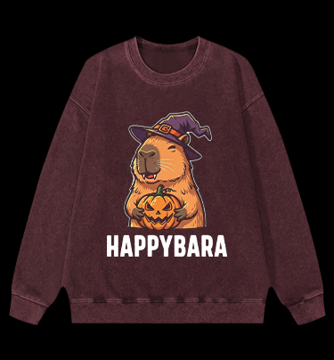 A Meowster Vintage Washed 100% Cotton Sweatshirt