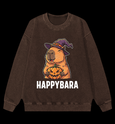 A Meowster Vintage Washed 100% Cotton Sweatshirt