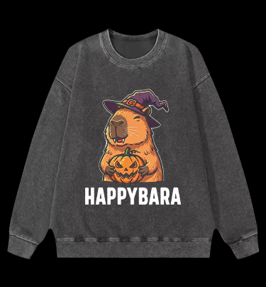 A Meowster Vintage Washed 100% Cotton Sweatshirt