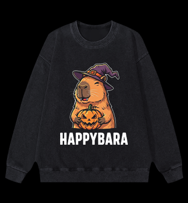 A Meowster Vintage Washed 100% Cotton Sweatshirt