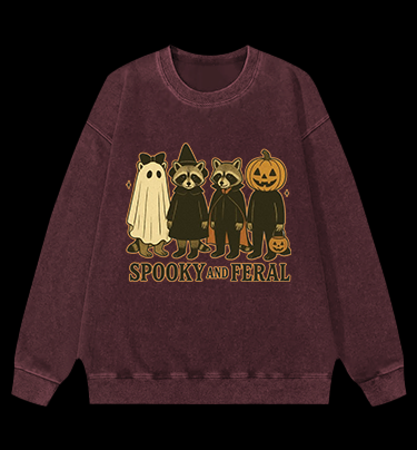 Halloween Raccoon Vintage Washed 100% Cotton Sweatshirt
