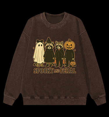 Halloween Raccoon Vintage Washed 100% Cotton Sweatshirt
