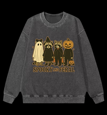 Halloween Raccoon Vintage Washed 100% Cotton Sweatshirt