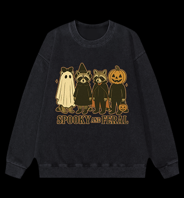 Halloween Raccoon Vintage Washed 100% Cotton Sweatshirt