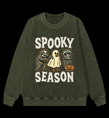 Halloween Raccoon Vintage Washed 100% Cotton Sweatshirt
