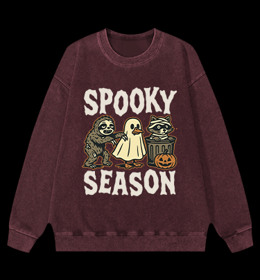 Halloween Raccoon Vintage Washed 100% Cotton Sweatshirt