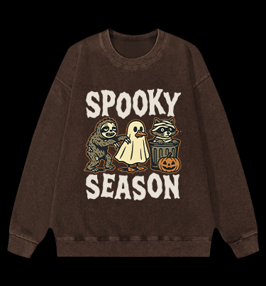Halloween Raccoon Vintage Washed 100% Cotton Sweatshirt