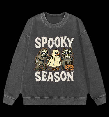 Halloween Raccoon Vintage Washed 100% Cotton Sweatshirt