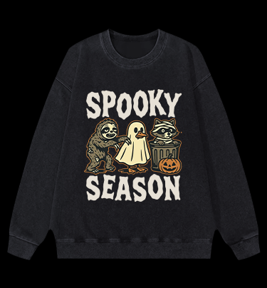 Halloween Raccoon Vintage Washed 100% Cotton Sweatshirt