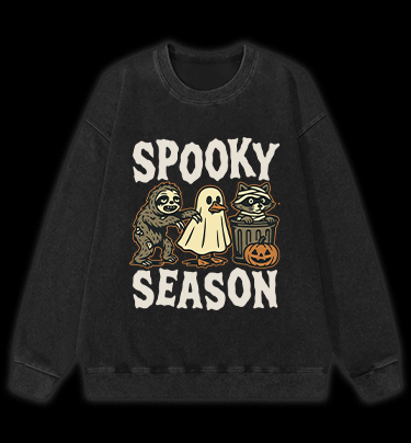 Halloween Raccoon Vintage Washed 100% Cotton Sweatshirt