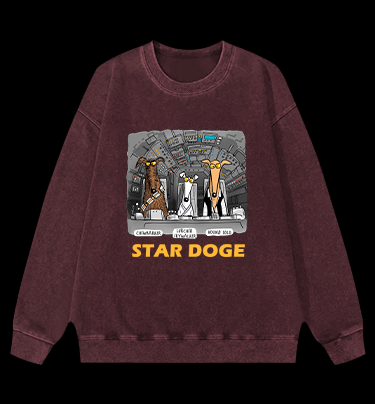 Star Doge Vintage Washed 100% Cotton Sweatshirt
