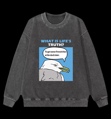 What Is Life's Truth Goose Vintage Washed 100% Cotton Sweatshirt