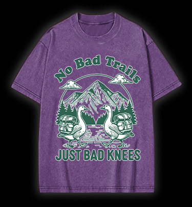 Trail Goose Adventure Vintage Washed 100% Cotton T-Shirt