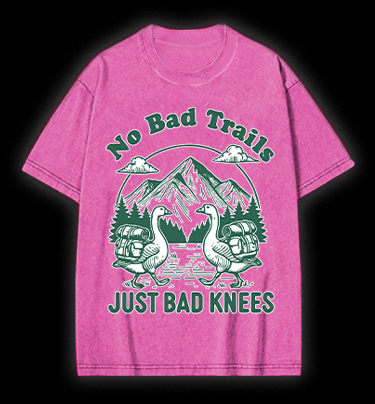 Trail Goose Adventure Vintage Washed 100% Cotton T-Shirt