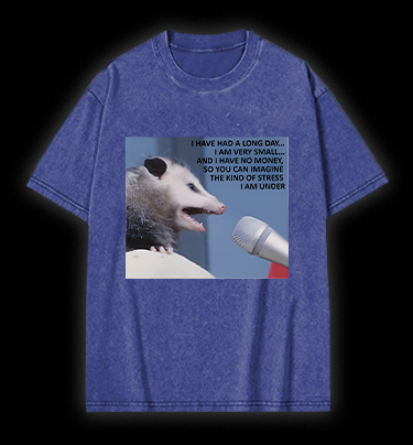 Small Mouse, Big Stress Vintage Washed 100% Cotton T-Shirt