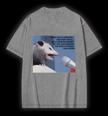 Small Mouse, Big Stress Vintage Washed 100% Cotton T-Shirt