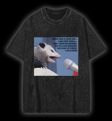 Small Mouse, Big Stress Vintage Washed 100% Cotton T-Shirt