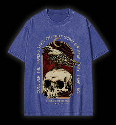 Dark Raven Vibe Vintage Washed 100% Cotton T-Shirt
