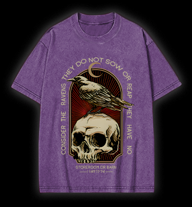 Dark Raven Vibe Vintage Washed 100% Cotton T-Shirt