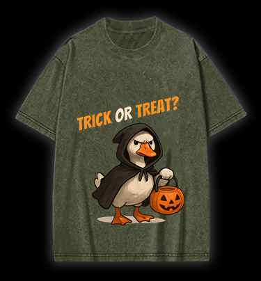 Goose's Treat Quest Vintage Washed 100% Cotton T-Shirt