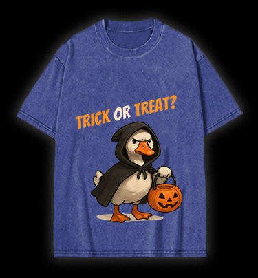 Goose's Treat Quest Vintage Washed 100% Cotton T-Shirt