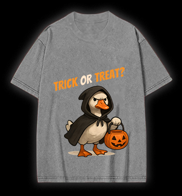 Goose's Treat Quest Vintage Washed 100% Cotton T-Shirt