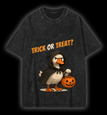 Goose's Treat Quest Vintage Washed 100% Cotton T-Shirt