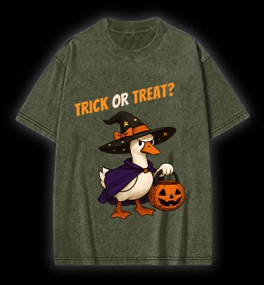 Witch Goose's Treat Vintage Washed 100% Cotton T-Shirt