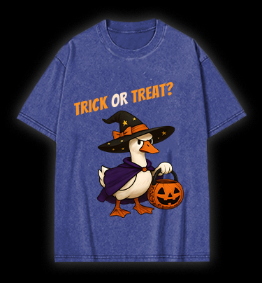 Witch Goose's Treat Vintage Washed 100% Cotton T-Shirt