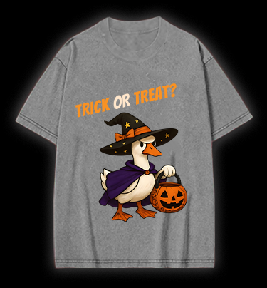 Witch Goose's Treat Vintage Washed 100% Cotton T-Shirt