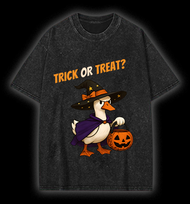 Witch Goose's Treat Vintage Washed 100% Cotton T-Shirt