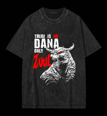 There Is No Dana Only Zuul  Vintage Washed 100% Cotton T-Shirt