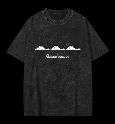 Goose bumps Vintage Washed 100% Cotton T-Shirt