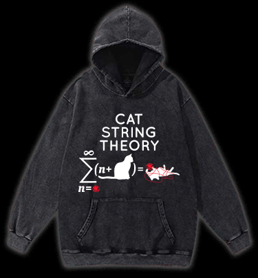 Cat String Theory Vintage Washed 100% Cotton Hoodie - TheDrunkShark
