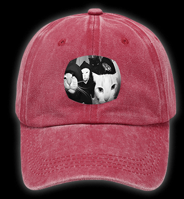 Cats Open Door Fun Vintage Washed 100% Cotton Baseball Hat - TheDrunkShark