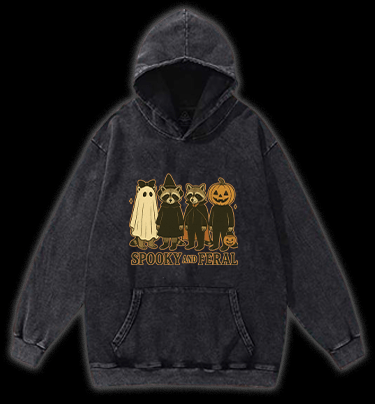 Halloween Raccoon Vintage Washed 100% Cotton Hoodie - TheDrunkShark