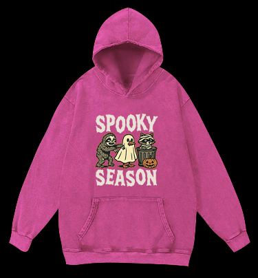 Halloween Raccoon Vintage Washed 100% Cotton Hoodie - TheDrunkShark