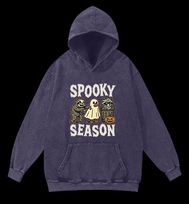 Halloween Raccoon Vintage Washed 100% Cotton Hoodie - TheDrunkShark