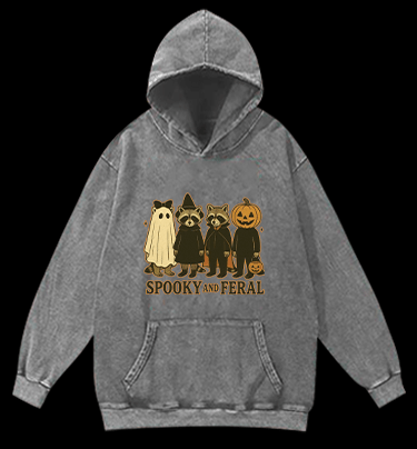 Halloween Raccoon Vintage Washed 100% Cotton Hoodie - TheDrunkShark