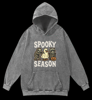 Halloween Raccoon Vintage Washed 100% Cotton Hoodie - TheDrunkShark
