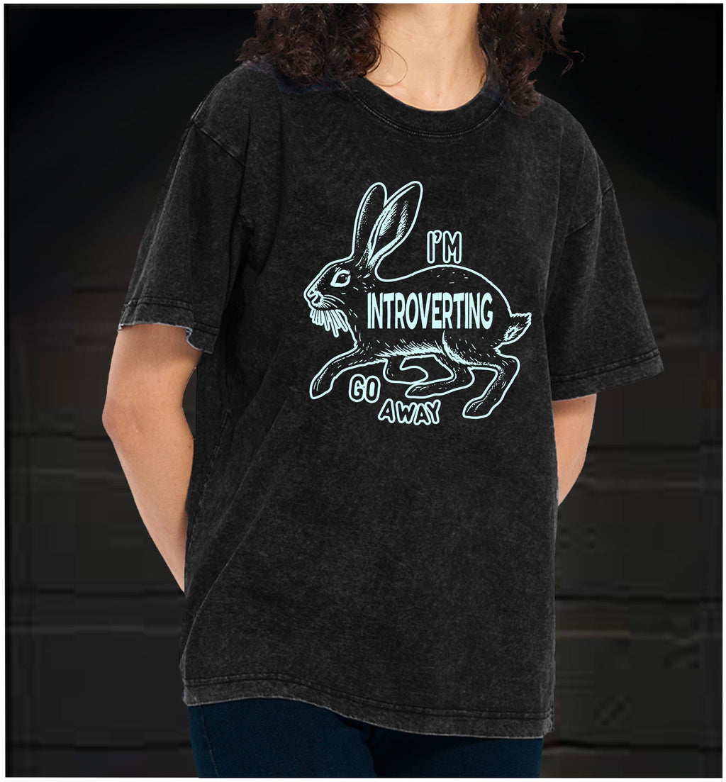  IntrovertLife  Vintage Washed 100% Cotton T-Shirt - TheDrunkShark