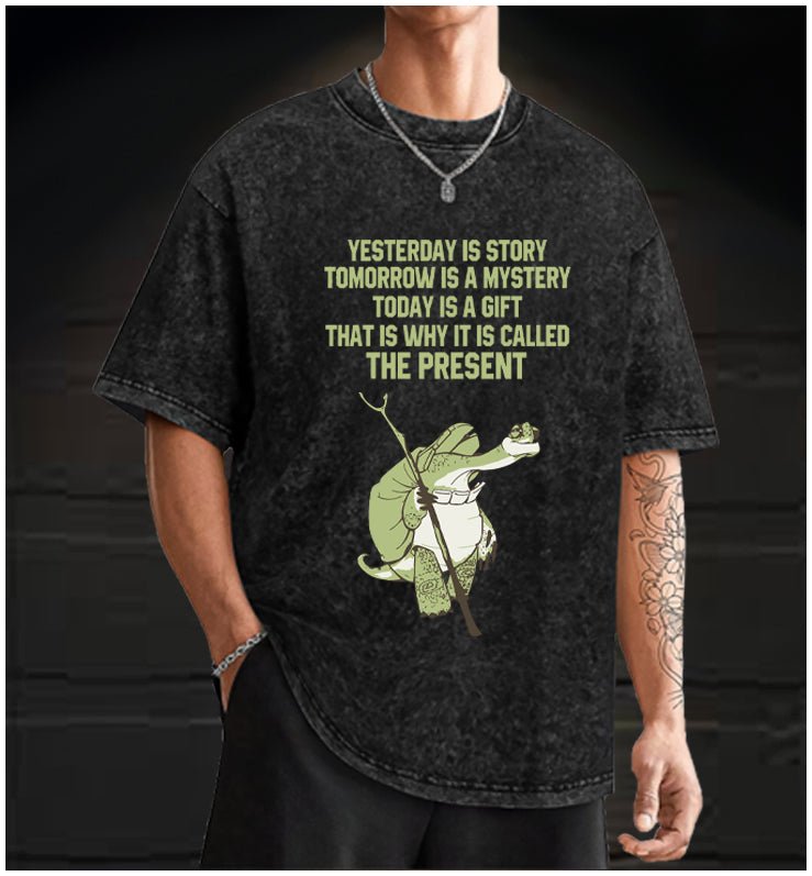 Kung Fu Panda Vintage Washed 100% Cotton T-Shirt - TheDrunkShark