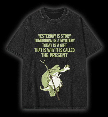 Kung Fu Panda Vintage Washed 100% Cotton T-Shirt - TheDrunkShark