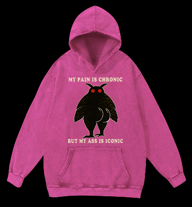 Moth's Chronic Pain & Iconic Ass Vintage Washed 100% Cotton Hoodie - TheDrunkShark