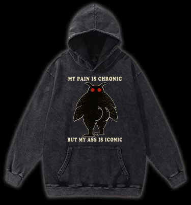 Moth's Chronic Pain & Iconic Ass Vintage Washed 100% Cotton Hoodie - TheDrunkShark