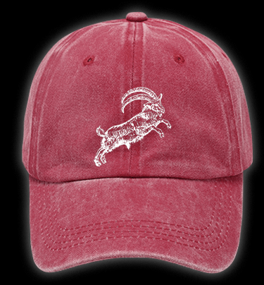 The VVITCH Vintage Washed 100% Cotton Baseball Hat - TheDrunkShark