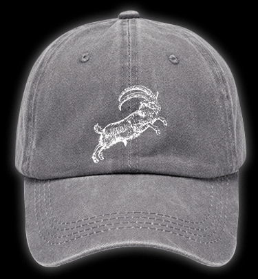 The VVITCH Vintage Washed 100% Cotton Baseball Hat - TheDrunkShark