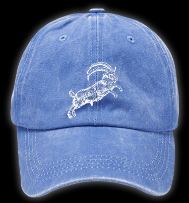 The VVITCH Vintage Washed 100% Cotton Baseball Hat - TheDrunkShark