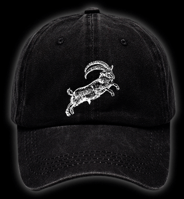 The VVITCH Vintage Washed 100% Cotton Baseball Hat - TheDrunkShark