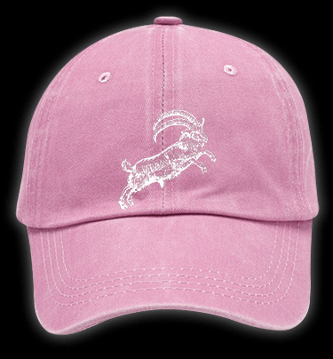 The VVITCH Vintage Washed 100% Cotton Baseball Hat - TheDrunkShark